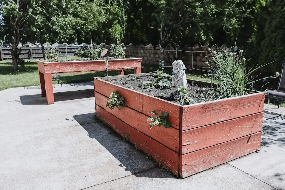 Raised garden beds on the patio at French Meadow Place